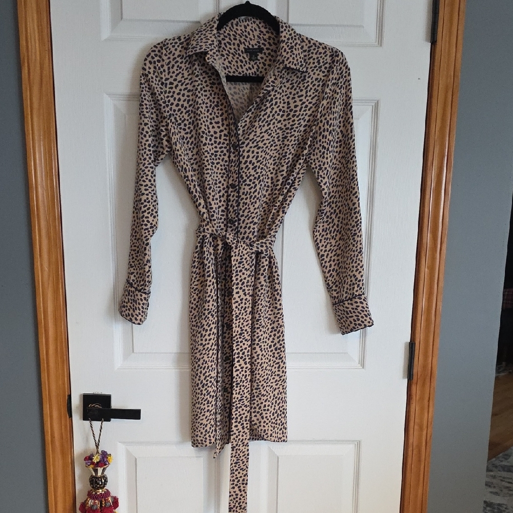 Ann Taylor Leopard Print Long Sleeve Dress